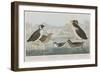 Illustration from 'Birds of America', 1827-38-John James Audubon-Framed Premium Giclee Print