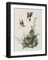 Illustration from 'Birds of America', 1827-38-John James Audubon-Framed Giclee Print