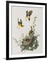 Illustration from 'Birds of America', 1827-38-John James Audubon-Framed Giclee Print