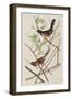 Illustration from 'Birds of America', 1827-38-John James Audubon-Framed Giclee Print