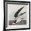 Illustration from 'Birds of America', 1827-38-John James Audubon-Framed Giclee Print