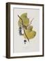 Illustration from 'Birds of America', 1827-38-John James Audubon-Framed Giclee Print