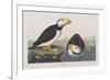 Illustration from 'Birds of America', 1827-38-John James Audubon-Framed Giclee Print