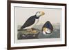 Illustration from 'Birds of America', 1827-38-John James Audubon-Framed Premium Giclee Print