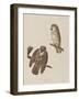 Illustration from 'Birds of America', 1827-38-John James Audubon-Framed Giclee Print