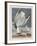 Illustration from 'Birds of America', 1827-38-John James Audubon-Framed Giclee Print