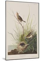 Illustration from 'Birds of America', 1827-38-John James Audubon-Mounted Giclee Print