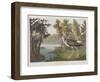 Illustration from 'Birds of America', 1827-38-John James Audubon-Framed Premium Giclee Print