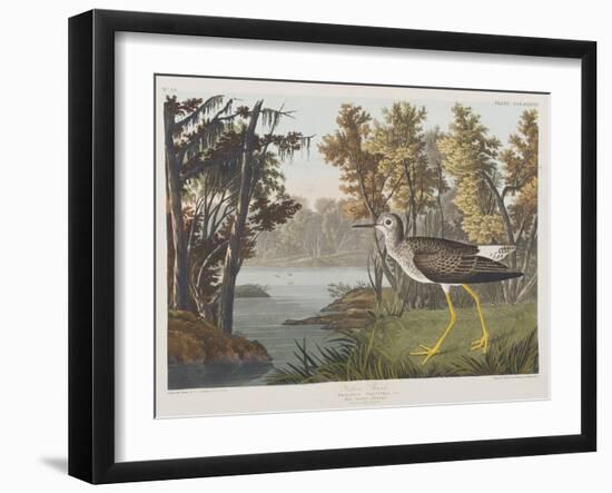 Illustration from 'Birds of America', 1827-38-John James Audubon-Framed Giclee Print