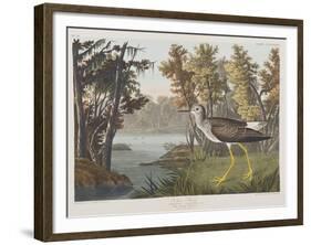 Illustration from 'Birds of America', 1827-38-John James Audubon-Framed Giclee Print