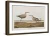 Illustration from 'Birds of America', 1827-38-John James Audubon-Framed Giclee Print