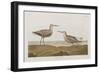 Illustration from 'Birds of America', 1827-38-John James Audubon-Framed Giclee Print