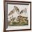 Illustration from 'Birds of America', 1827-38-John James Audubon-Framed Giclee Print