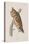 Illustration from 'Birds of America', 1827-38-John James Audubon-Stretched Canvas