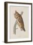 Illustration from 'Birds of America', 1827-38-John James Audubon-Framed Giclee Print