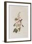 Illustration from 'Birds of America', 1827-38-John James Audubon-Framed Giclee Print