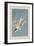 Illustration from 'Birds of America', 1827-38-John James Audubon-Framed Giclee Print