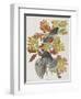 Illustration from 'Birds of America', 1827-38-John James Audubon-Framed Giclee Print