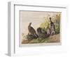 Illustration from 'Birds of America', 1827-38-John James Audubon-Framed Giclee Print