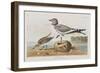 Illustration from 'Birds of America', 1827-38-John James Audubon-Framed Giclee Print