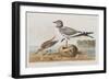 Illustration from 'Birds of America', 1827-38-John James Audubon-Framed Giclee Print