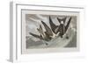 Illustration from 'Birds of America', 1827-38-John James Audubon-Framed Giclee Print