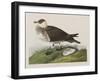 Illustration from 'Birds of America', 1827-38-John James Audubon-Framed Giclee Print