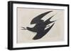 Illustration from 'Birds of America', 1827-38-John James Audubon-Framed Giclee Print