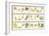 Illustration from Children's Primer-null-Framed Art Print