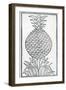 Illustration from 'De La Natural Hystoria De Las Indias'-null-Framed Giclee Print