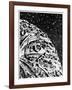 Illustration from De La Terre a La Lune by Jules Verne, 1865-null-Framed Giclee Print