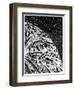 Illustration from De La Terre a La Lune by Jules Verne, 1865-null-Framed Premium Giclee Print