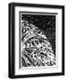 Illustration from De La Terre a La Lune by Jules Verne, 1865-null-Framed Premium Giclee Print