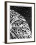 Illustration from De La Terre a La Lune by Jules Verne, 1865-null-Framed Giclee Print