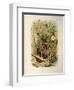 Illustration from Eugenio BettoniS Natural History of Birds That Nest in Lombardy Representing Whit-null-Framed Giclee Print
