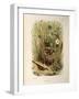 Illustration from Eugenio BettoniS Natural History of Birds That Nest in Lombardy Representing Whit-null-Framed Giclee Print