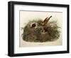 Illustration from Eugenio BettoniS Natural History of Birds That Nest in Lombardy Representing Yell-null-Framed Giclee Print