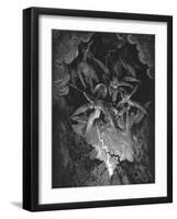 Illustration from John Milton's Paradise Lost, 1866-Gustave Doré-Framed Giclee Print