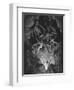 Illustration from John Milton's Paradise Lost, 1866-Gustave Doré-Framed Premium Giclee Print