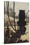 Illustration From Jorinda and Joringel Of a Black Cat-Arthur Rackham-Stretched Canvas