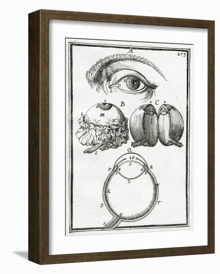 Illustration from La Geometrie Pratique 1702, (Engraving)-Alain Manesson Mallet-Framed Giclee Print