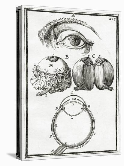 Illustration from La Geometrie Pratique 1702, (Engraving)-Alain Manesson Mallet-Stretched Canvas
