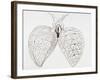 Illustration From Malpighi's Book on the Lungs-Science Photo Library-Framed Photographic Print