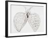 Illustration From Malpighi's Book on the Lungs-Science Photo Library-Framed Photographic Print