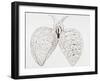Illustration From Malpighi's Book on the Lungs-Science Photo Library-Framed Photographic Print