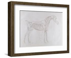 Illustration from 'The Anatomy of the Horse, Including a Particular Description of the Bones,…-George Stubbs-Framed Giclee Print