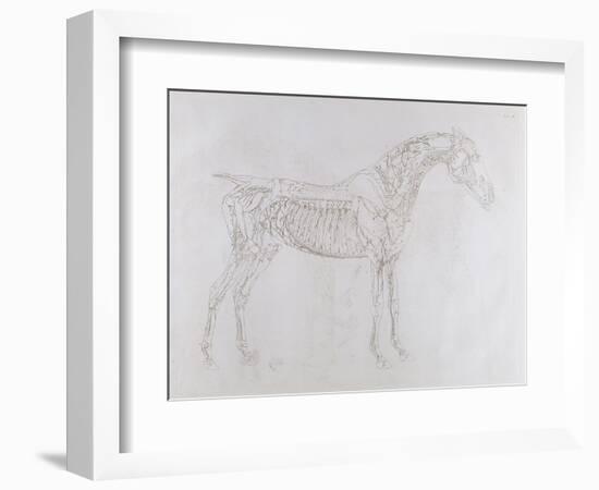 Illustration from 'The Anatomy of the Horse, Including a Particular Description of the Bones,…-George Stubbs-Framed Giclee Print