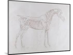 Illustration from 'The Anatomy of the Horse, Including a Particular Description of the Bones,…-George Stubbs-Mounted Giclee Print