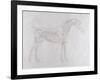 Illustration from 'The Anatomy of the Horse, Including a Particular Description of the Bones,…-George Stubbs-Framed Giclee Print