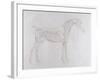 Illustration from 'The Anatomy of the Horse, Including a Particular Description of the Bones,…-George Stubbs-Framed Giclee Print